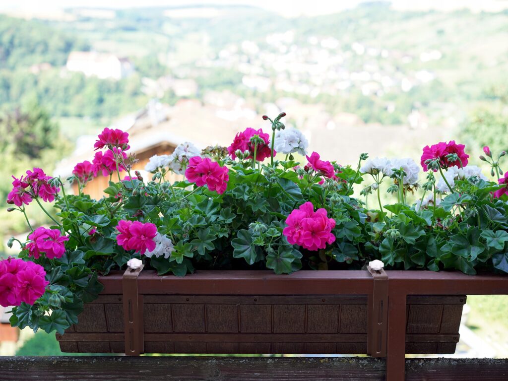 Uchwyt na skrzynkę balkonową metalowy regulowany - obrazek 3